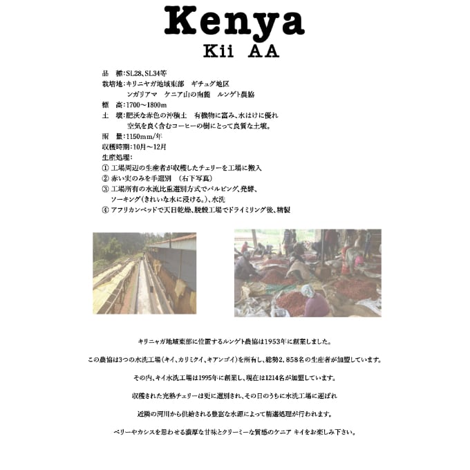★Kケニア様★専用 ケニア様専用