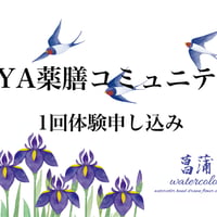 IYA薬膳コミュニティの1回体験（備考欄に参加希望月を記入してください）