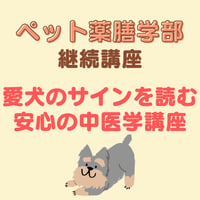 「もっと早く気づいてあげたかった」をなくす 愛犬のサインを読む安心の中医学講座  （初回特別価格）