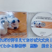【DVD教材】見てわかる！診断学総まとめ薬膳セミナー