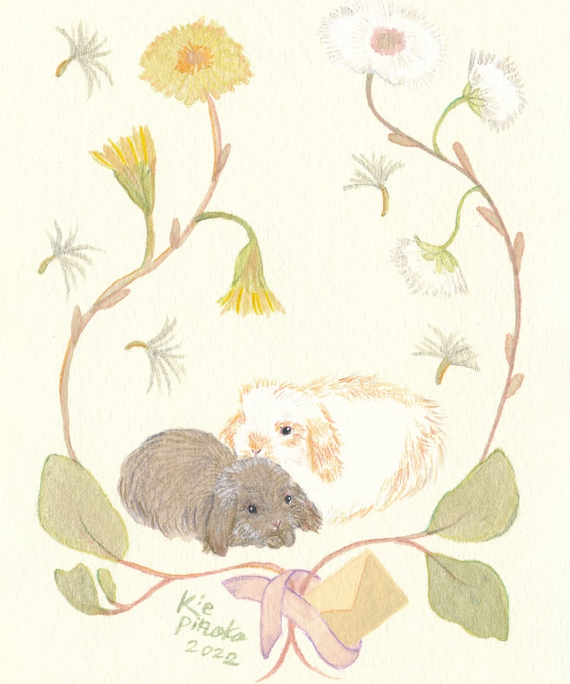 うさぎの似顔絵屋さん | うさぎからの手紙 | キエピノコ Kie Pinoko うさぎの似顔絵屋さん | うさぎからの手紙 | キエピノコ Kie Pinoko