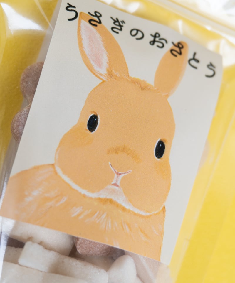 うさぎとクローバーのお砂糖 | キエピノコ Kie Pinoko