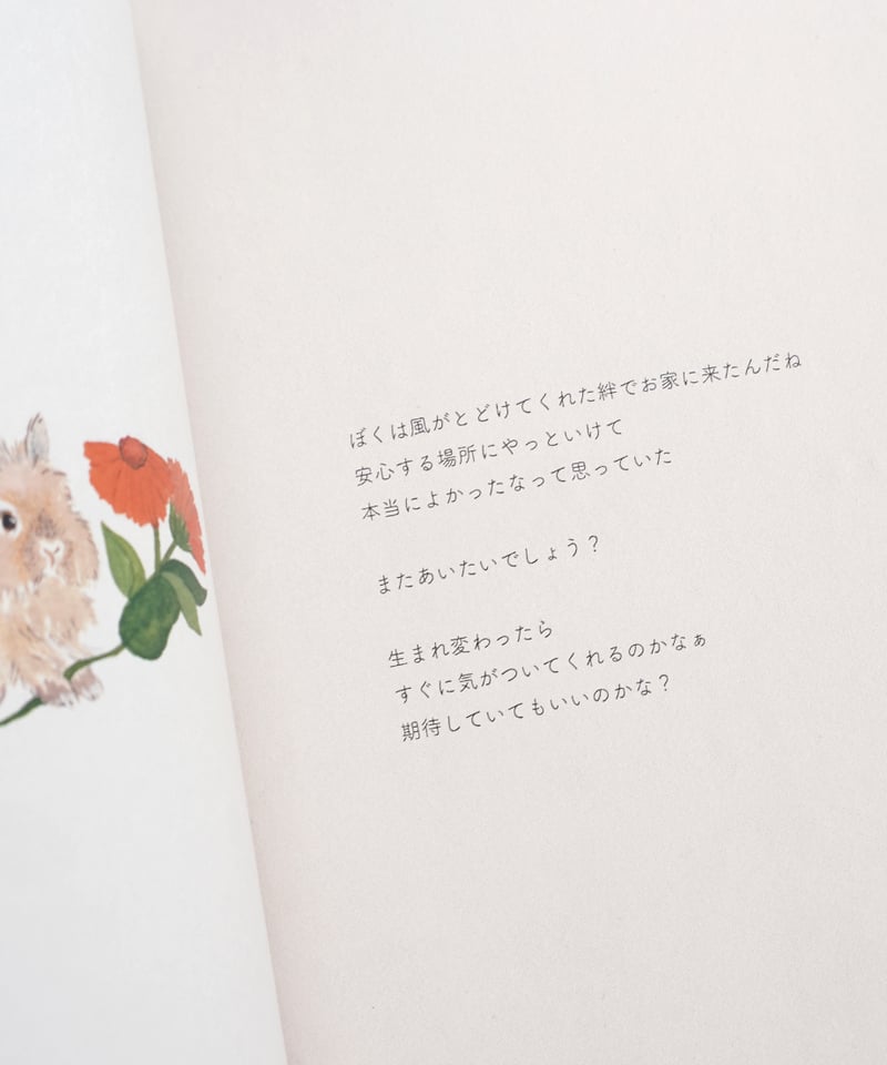 詩画集「うさぎからの手紙」 | キエピノコ Kie Pinoko