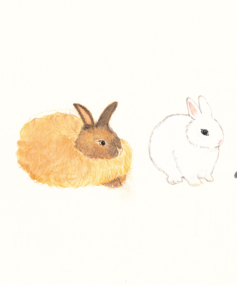 絵本原画「うさぎ」 | キエピノコ Kie Pinoko