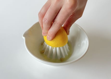 【五十嵐元次】レモン絞り器