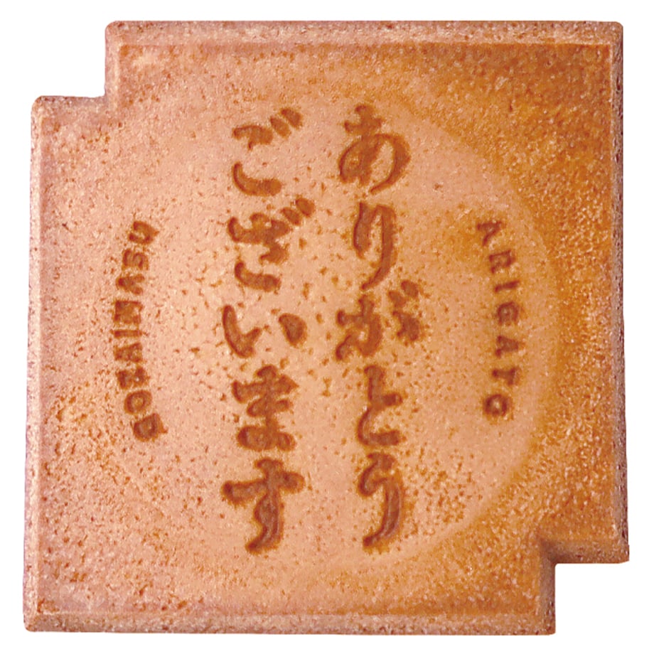 6540990e0662f200361d705f