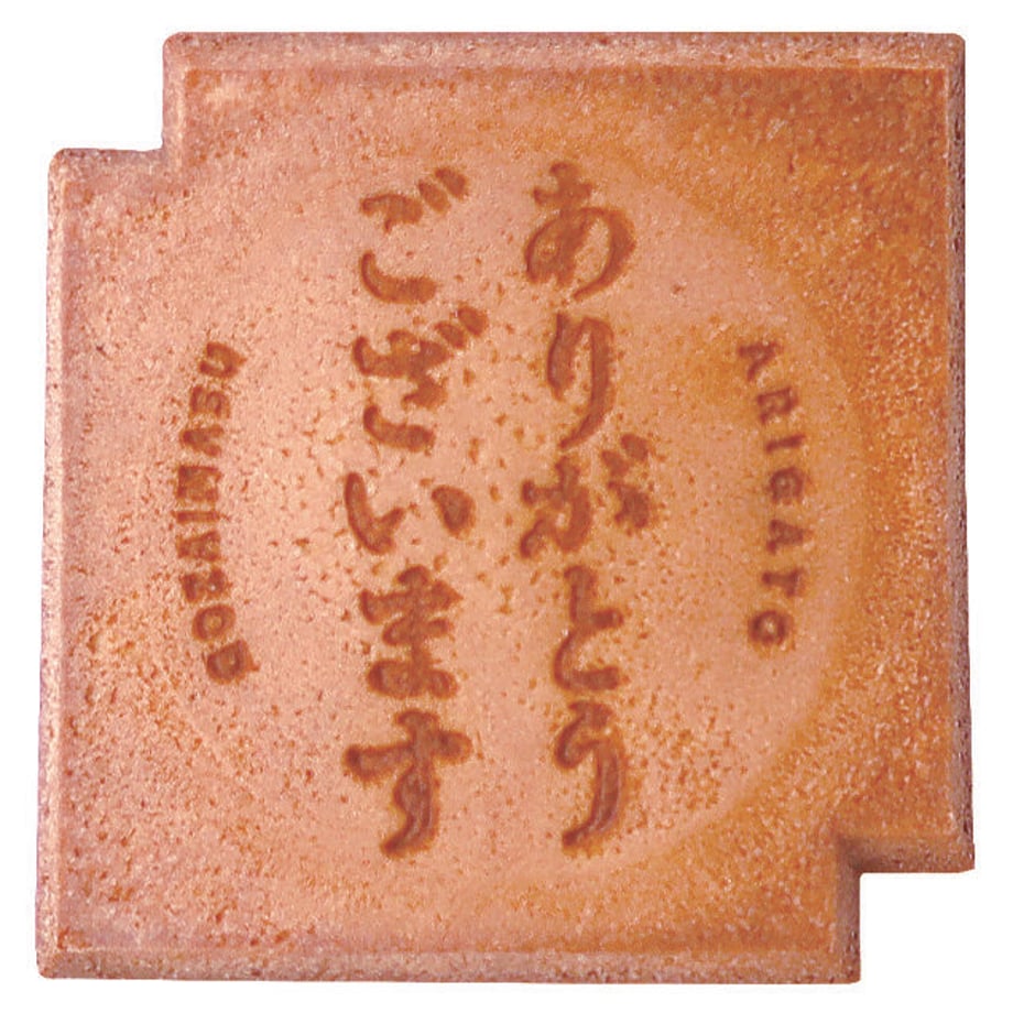 636a1608f80f1e5cc8c326a1