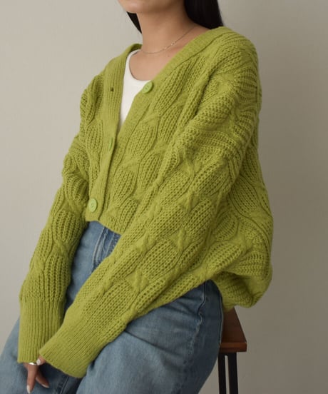 Short Knit Cardigan t1911-139