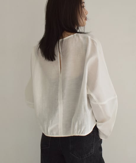 Seethrough Blouse t1911-316