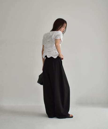 Shirring Compact Blouse t1911-374