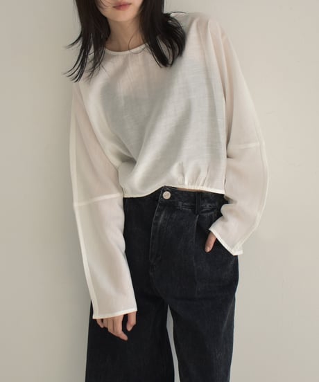Seethrough Blouse t1911-316