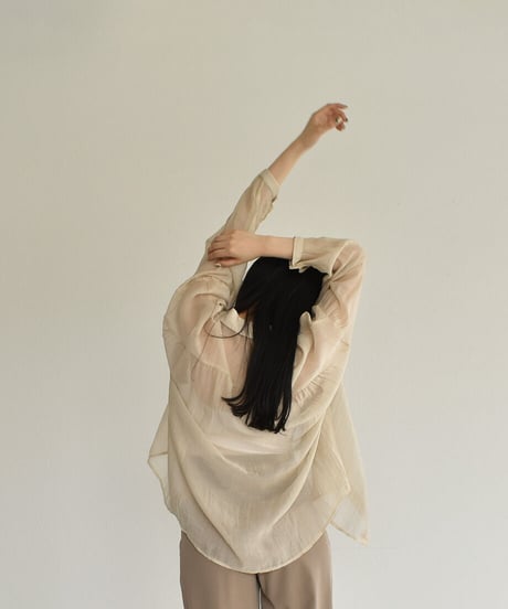Sheer Palecolor Shirt t1911-74