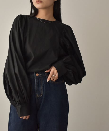 Volume Sleeve Blouse t1911-158