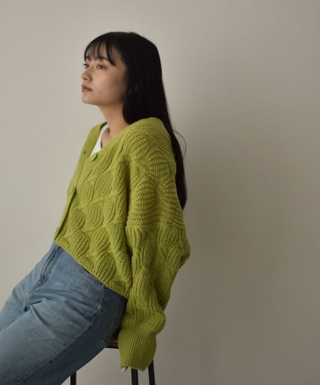 Short Knit Cardigan t1911-139