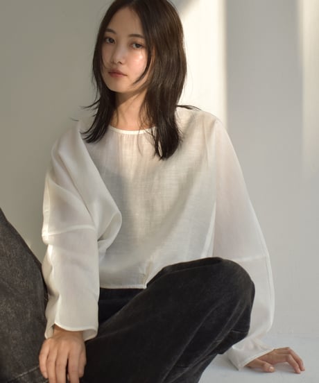 Seethrough Blouse t1911-316