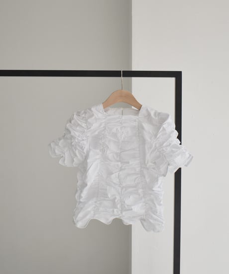 Shirring Compact Blouse t1911-374