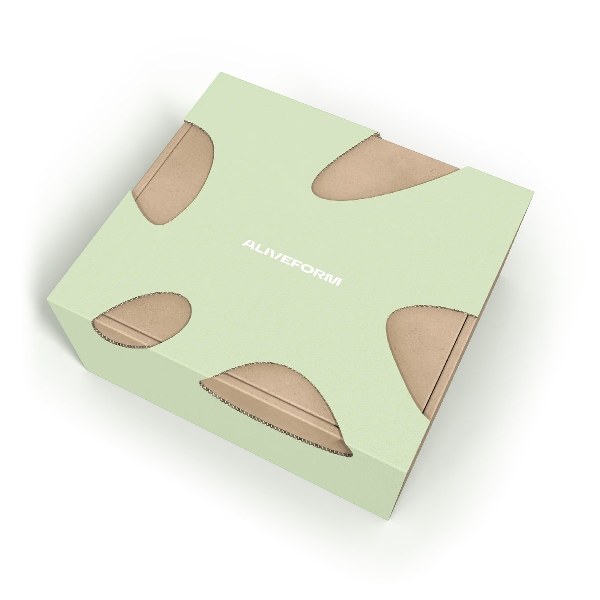 ALIVEFORM / STRATUM FANG / NICKEL | PLUG