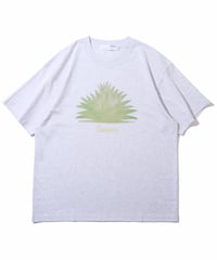 Pasadena Tee (Steam)