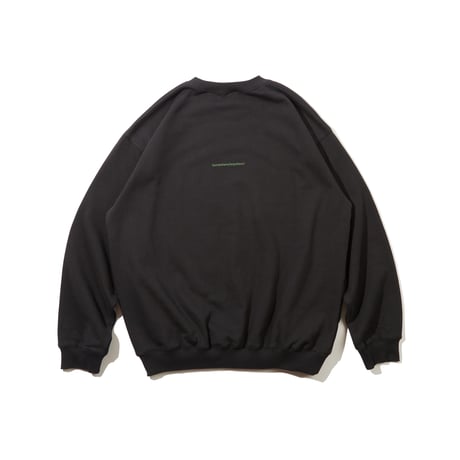 Todd Crewneck Sweatshirt (Black)