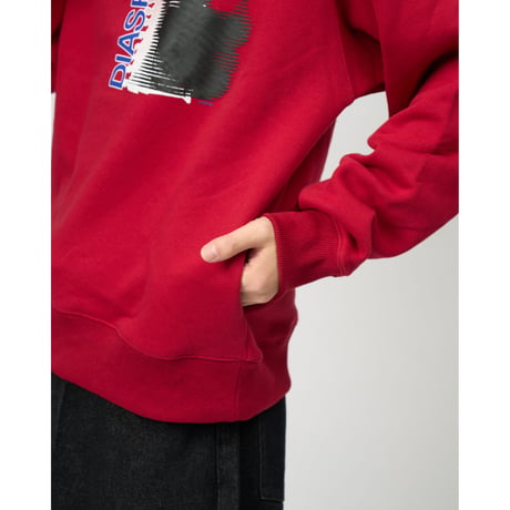 Thermocam Crewneck Sweatshirt (Red)