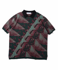 Brushed Terrain Knit Polo (Green)