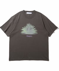 Pasadena Tee (Graphite)