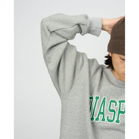 College Logo Crewneck Sweatshirt (Navy)