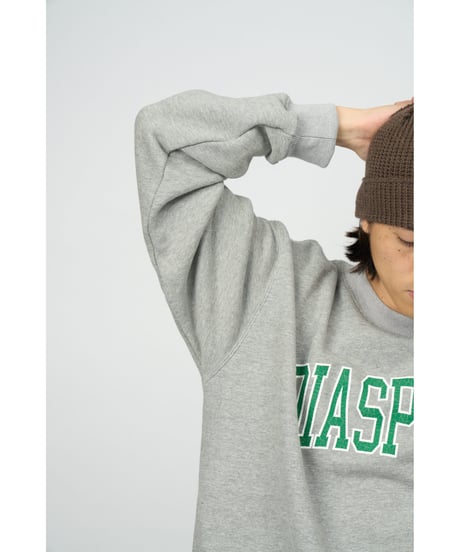 College Logo Crewneck Sweatshirt (Navy)