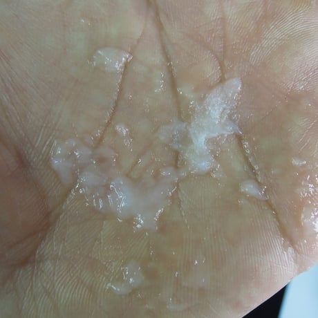 ミツクラの紙吹雪　野外用　溶ける紙吹雪　業務用　赤　レッド3.6cm 1kg 約60000枚 素材デンプン製　回転落下型　長時間滞空　結婚式　イベント　水溶性