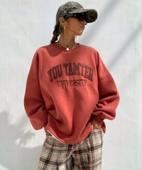 sw shirt「felt」#311258