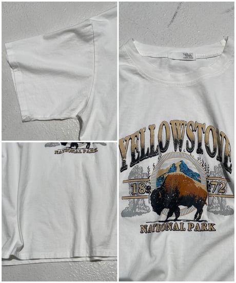 big T「BUFFALO」#2131