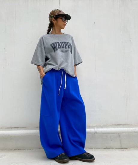 college logo wide T「WAUPUN」#8021617