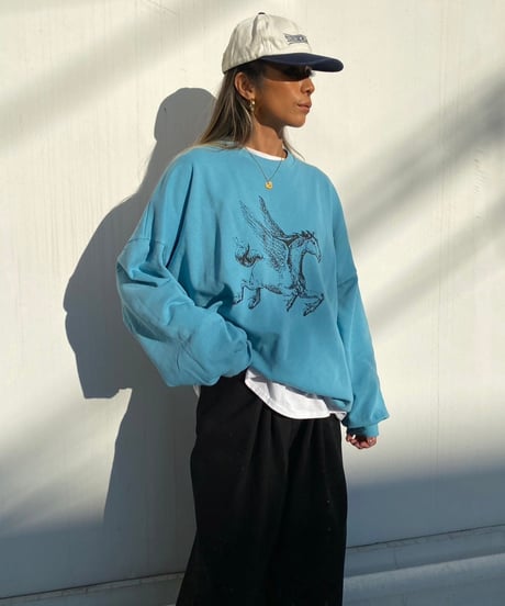 wide sweat shirt「pēgasos」#992