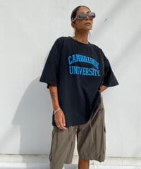 pigment T「CAMBRIDGE UNIV」#2122