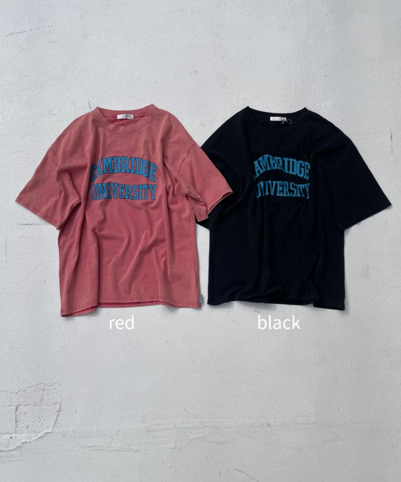 完売sudo pigment T「CAMBRIDGE UNIV」#2122 pigment T「CAMBRIDGE UNIV」#2122 | tablethotel-sūdo