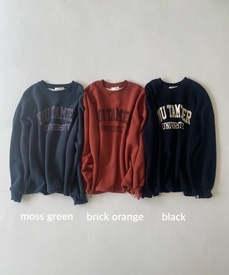 sw shirt「felt」#311258