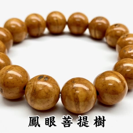 鳳眼菩提樹 | STORES
