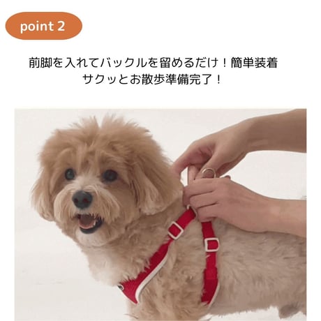 minimizクレヨンフィットハーネス