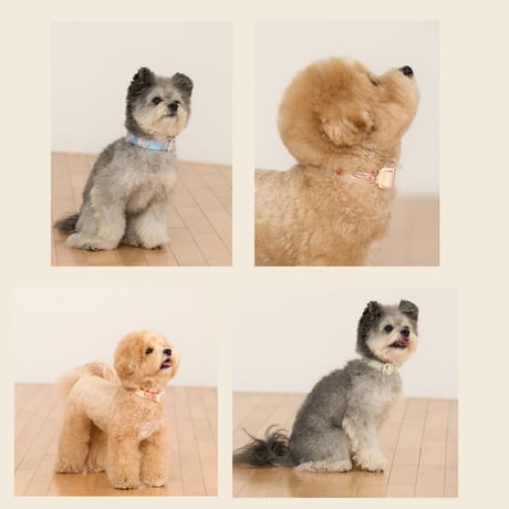 likalika coddly toy ネックライン