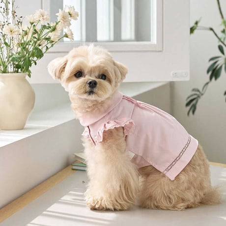 Angel Blouse ( Pink)