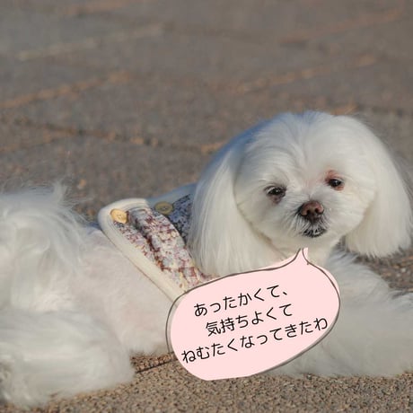 コットンキルト小花柄背中開きベスト