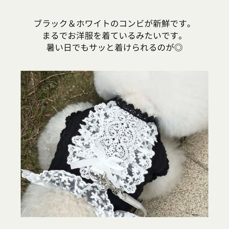 ブラック&ホワイトレース ハーネス