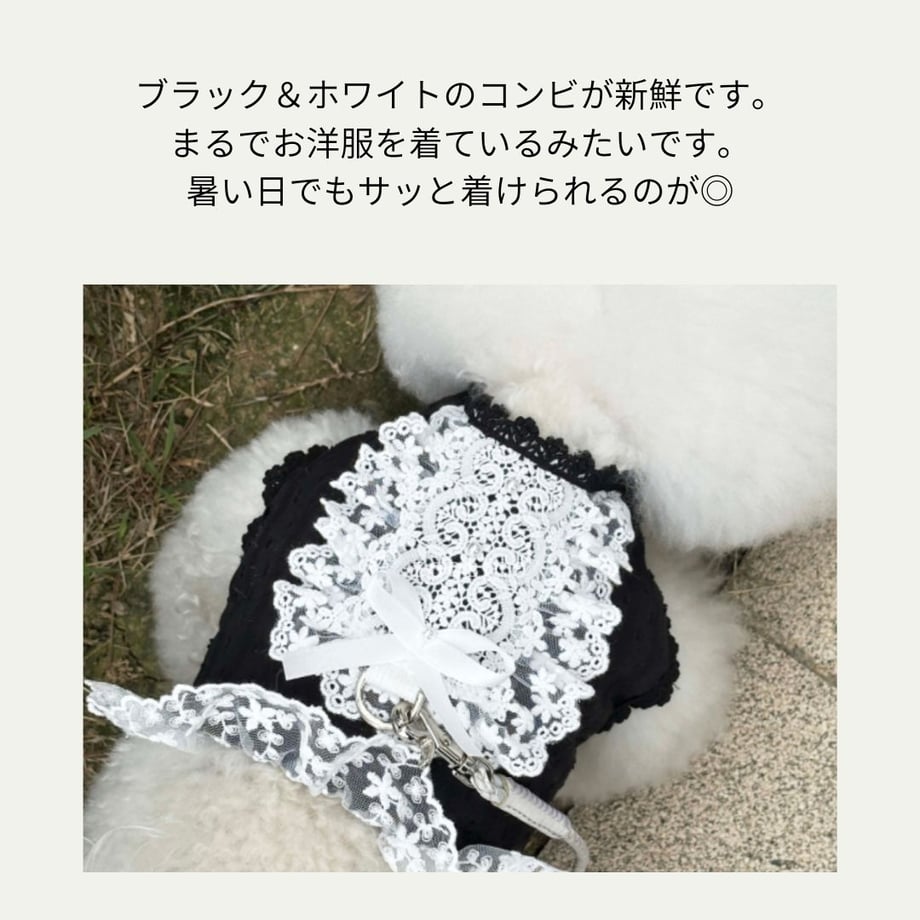 68b57b15916d265a5c20b6f8