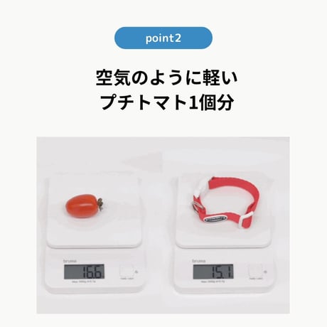 minimizクレヨンフィット首輪
