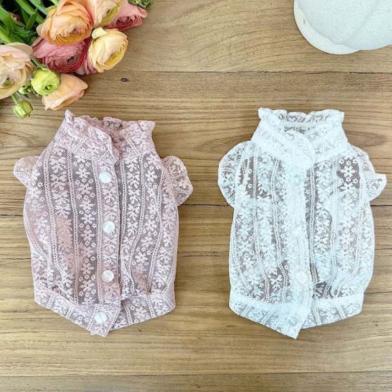 BABY星レースブラウス BABY,THE STARS SHINE BRIGHT うさみみ5分袖ブラウス - BELSEL