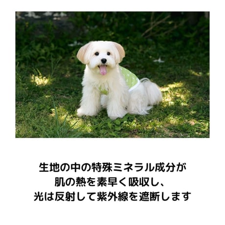 likalika 防虫＆クール素材キャミソール