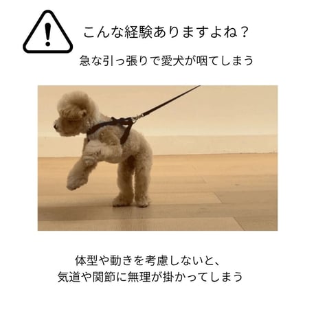 likalika breeze walk harness