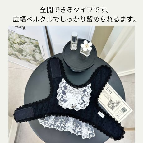 ブラック&ホワイトレース ハーネス