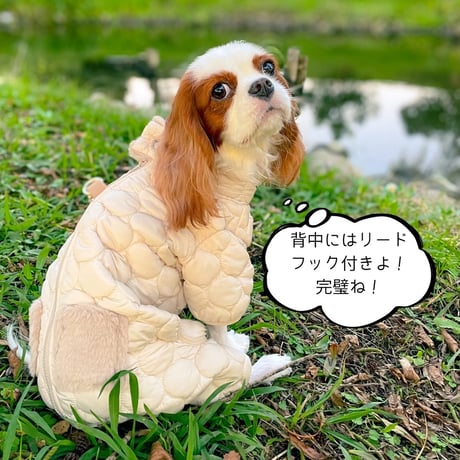 ボアポケット付きオールインワン