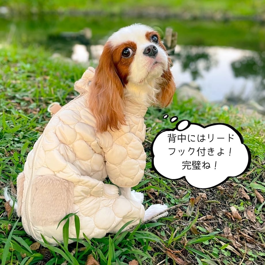 674930c3835a6702acb0eff9